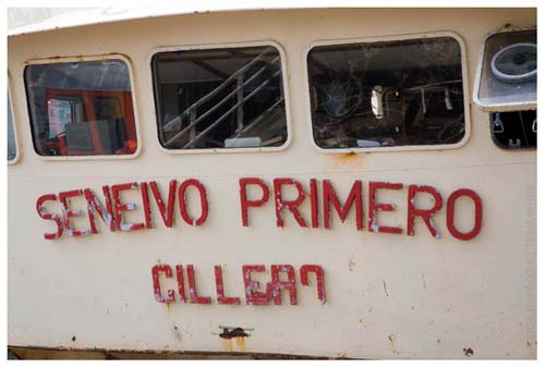 10 Seneivo Primero
